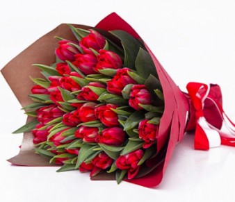 Пионовидные тюльпаны красные: фото. Мир цветов Киров