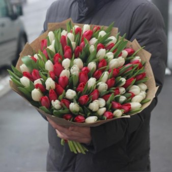 Тюльпаны Белые и красные в упаковке: фото. Мир цветов Киров