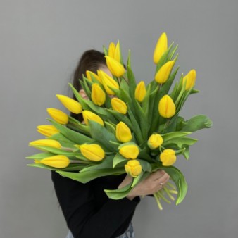 Желтые Тюльпаны под ленту: фото. Мир цветов Киров