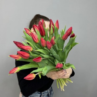 Красные тюльпаны на ленте: фото. Мир цветов Киров